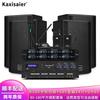 KAXISAIER Professional Conference Audio System CN Plug (adapter Included)