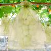 100/200Pcs Fruit Protection Bags Fine Mesh Organza Plant Grow Bags with Drawstring Garden Anti-Bird Netting Mesh Bag Garden Tool