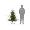 HOMCOM Sapin de Noël artificiel de 180 cm Feuillage dense pour un aspect réaliste Comprend 1942 extrémités de branches Vert