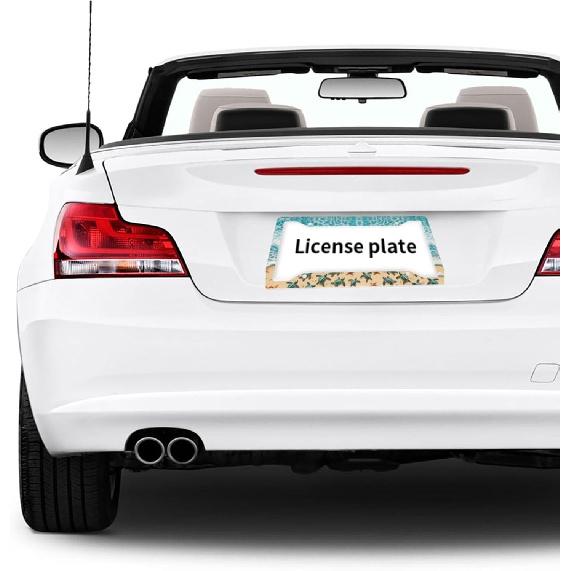Beach License Plate Frame 2 Pack Accessories Cars Decor 12.3 X 6.3 Inches For Men Women