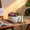 Nordics Styles Decorative Flower Pot Elegant Seashells Shape Flower Pot Tabletop Display For Small Plant And Succulents