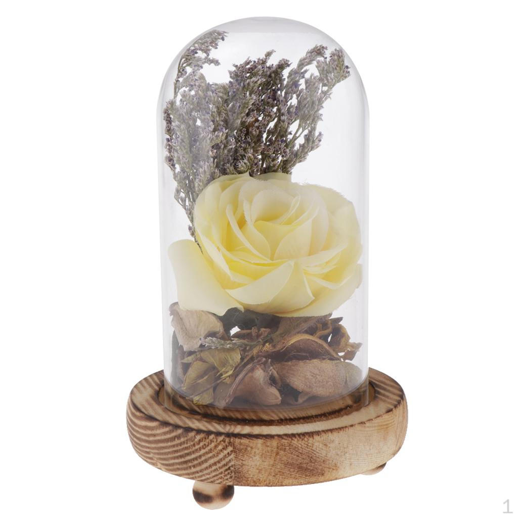 Display Cloche Dome Bell Jar With Wooden Base Micro Landscape Yellow