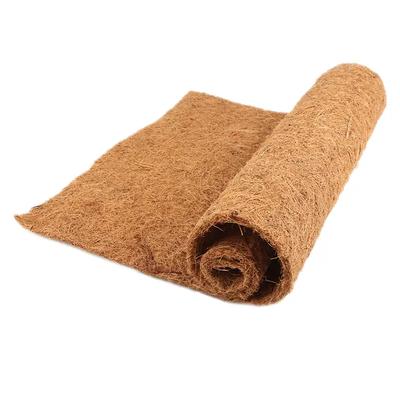 Coconut Mat 50x150cm