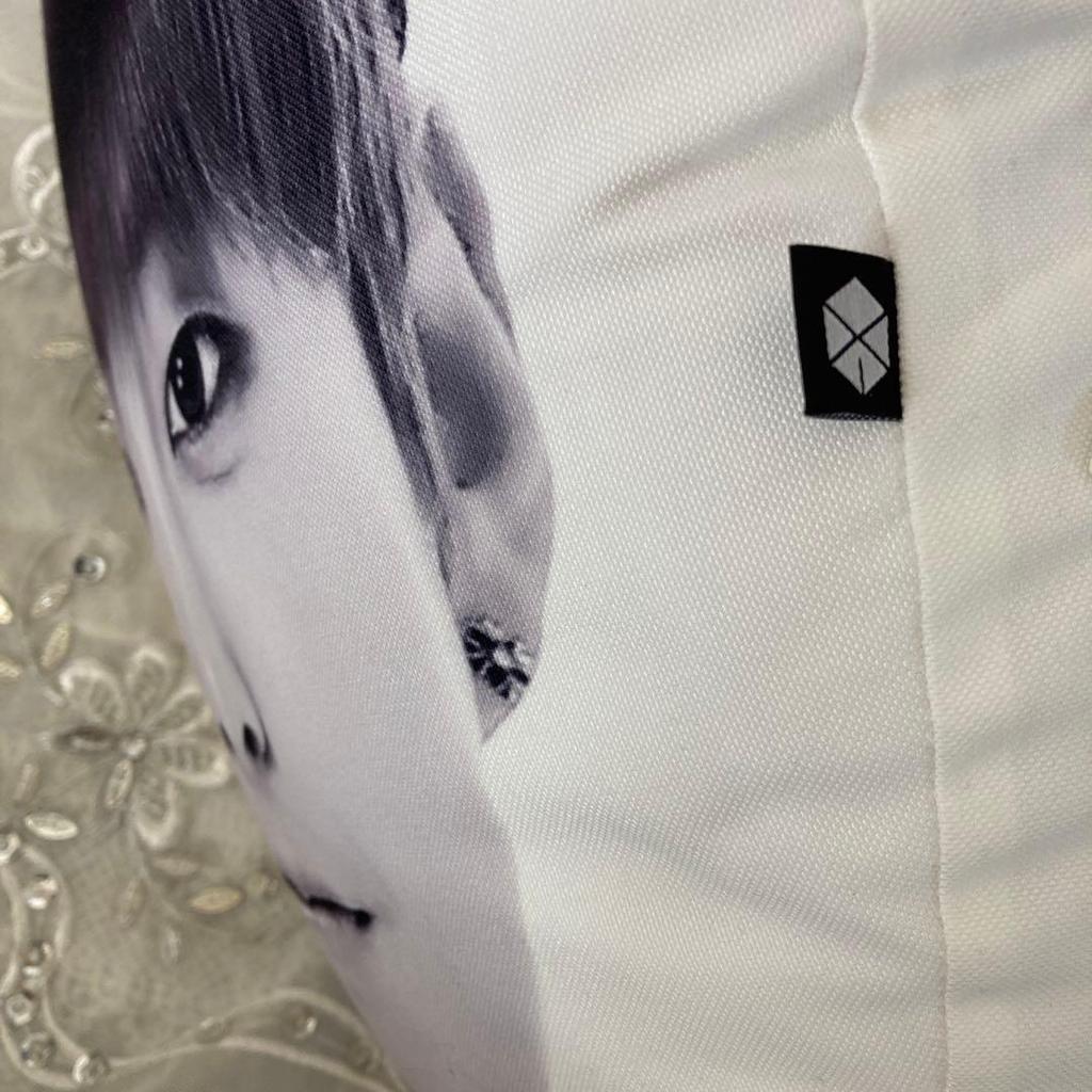 [USED] EXO PHOTO CUSHION Xiumin (Official). No bag included.