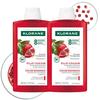 [Color Maintenance & Damaged Hair] Pomegranate Color Protection Shampoo 400ml 2 Bottles