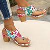 Fashion Women Sandals New Style Trend Chunky Women Sandals Mid Heels Fashion Shoes Summer Brand Dress Pumps Casual Shoes Women Sandals