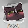 Cute MMicah YYujin Various Sizes Square Pillow Case For Car Home Bedchamber Decor Birthday Gift