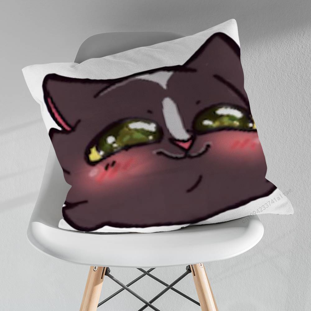 Cute MMicah YYujin Various Sizes Square Pillow Case For Car Home Bedchamber Decor Birthday Gift