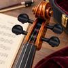 8PCS Predrilled Holes Violin Tuning Pegs Ebony Material Musical Instrument Pegs  Violin Replacement
