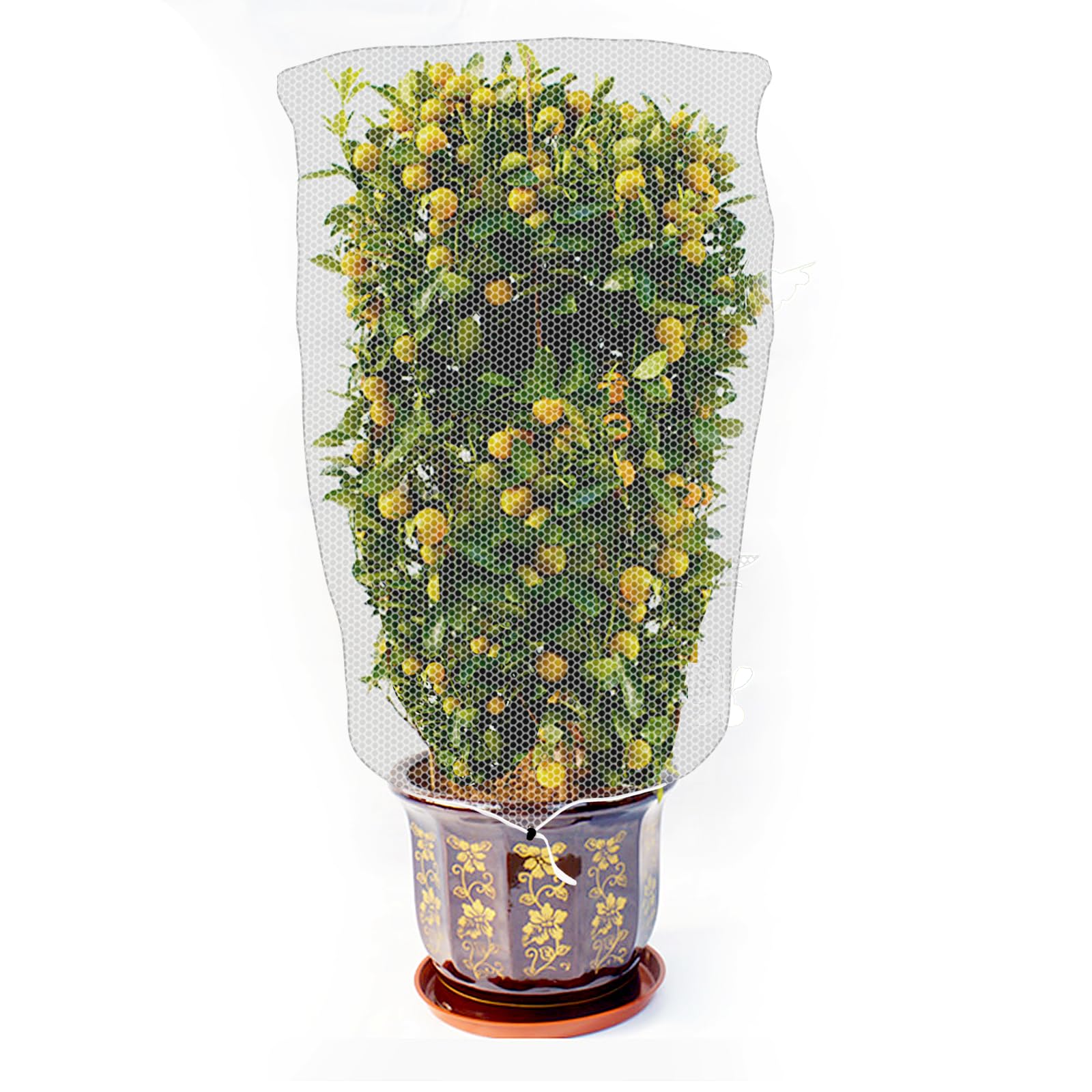 

Tcoabl сетка от насекомых 10080 см, прозрачный материал, крышка для защиты растений, сетка для растений 80x100 см, 1 шт.