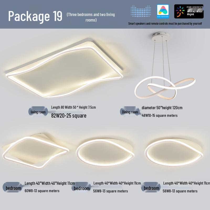 Modern Minimalist Ceiling Light Package with Smart Home Integration for Whole House