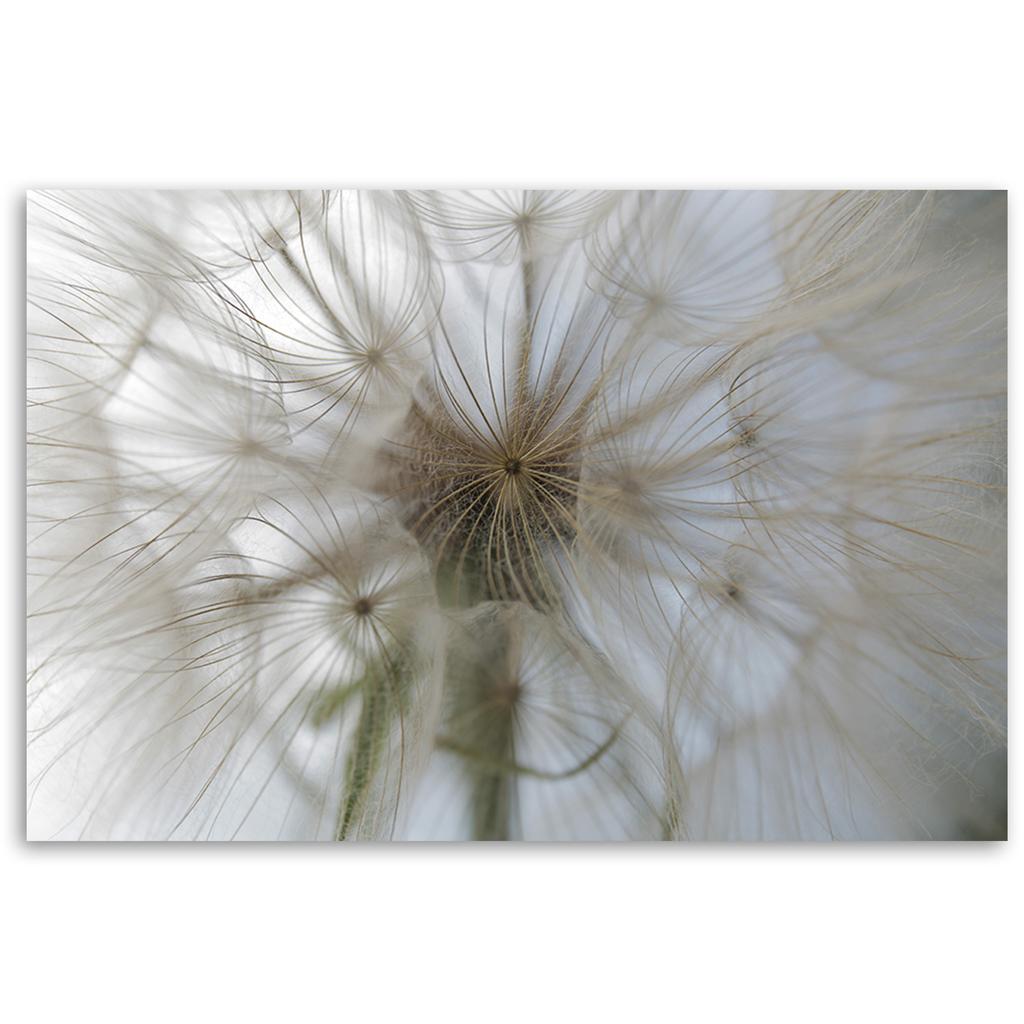 Canvas print, Blowfly on a macro scale