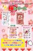 Reefcoco Kishu-Style Mild Dried Ume with Honey Pitted Ume 500g Stand-up Bag Wholesale Nanko Ume Pickled Plum Ume Sweets Ume Confectionery