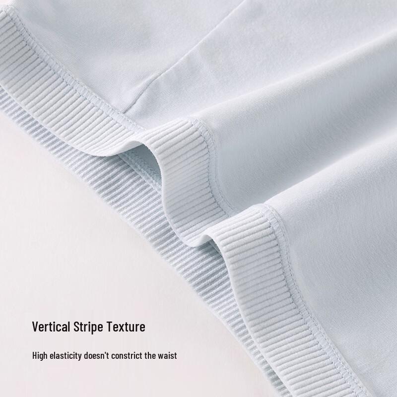 FENTENGCARE Women's 10A Antibacterial Seamless High-Waist Cotton Boxer Briefs 4-Pack