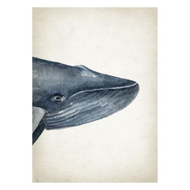 Marine Animals Canvas Paintings Great White Shark Posters and Prints Killer Whale Wall Art Picture for Home Decoration No Frame