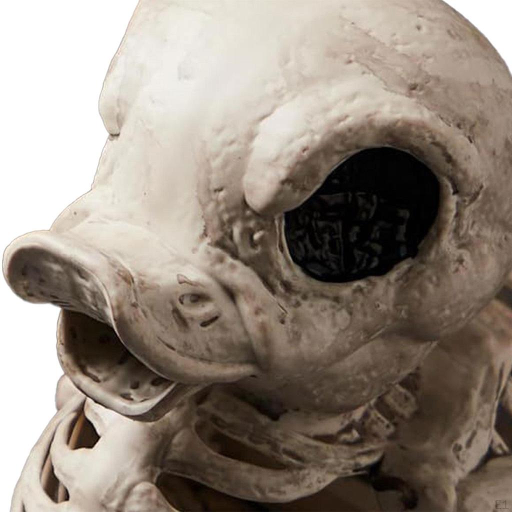 Duck Skeleton Sculpture Decorative Figurine Halloween Prop Horror Animal Bones Resin
