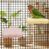 Wear Resistant Pumice Parrot Stand Detachable Claw Grinding Stand Parrot Rack Toy Training