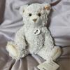 [USED] Steiff 1880 Paddy Teddy Bear, Cream