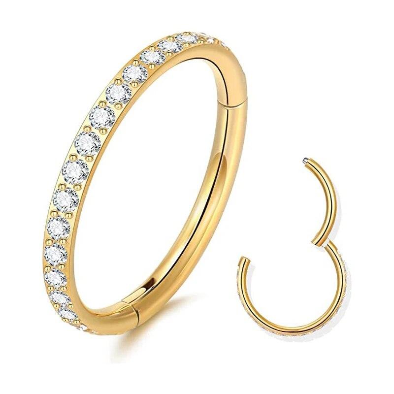 

Кольцо в носу из нержавеющей стали, CZ 16 г, шарнирная перегородка, кликер, сегмент, ушной козелок, хрящ, спираль, Daith, губа, нос, пирсинг, ювелирные изделия