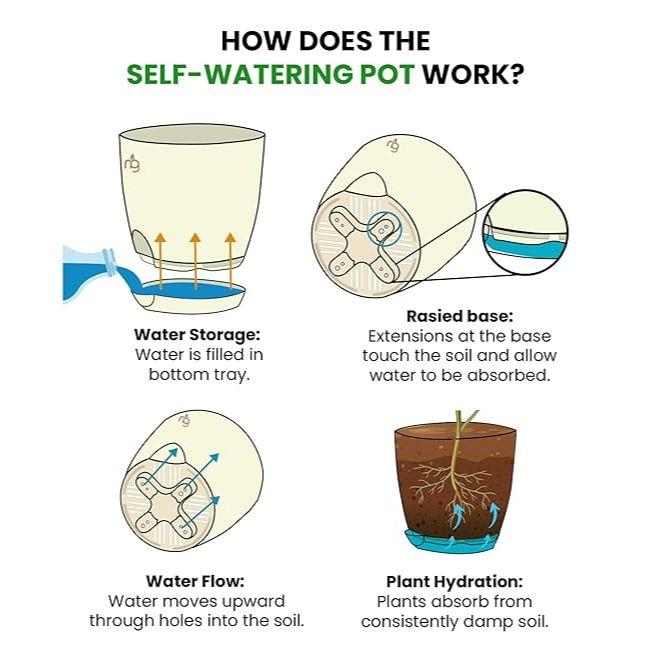 Combo of 8 Self Watering Flower Pots for Plants | Plastic Plant Pots | Planter Pots for Home, Room,Garden