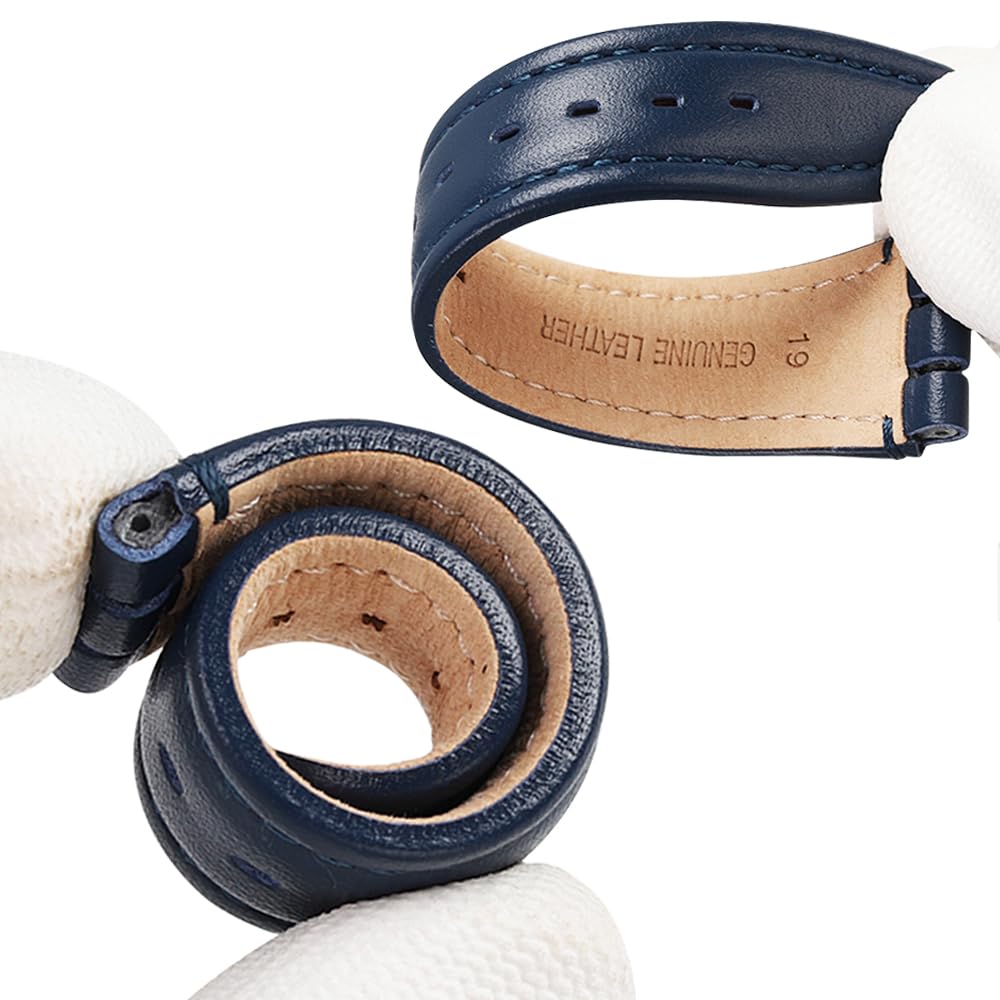 ZHUOLEI Swatch Watch Strap, 17mm/19mm [Includes 3 Spring Bars, Spring Bar Remover, and Box] (A-Blue, 19mm)