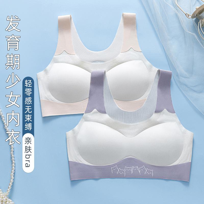 Older Children, Children's Development Period, Thin Bras, Junior High School Students, Adolescent Small Vest -