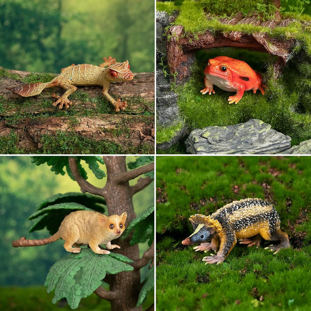 TOYMANY Madagascar Animal Figures, 12-Piece Hand-Painted Educational Set