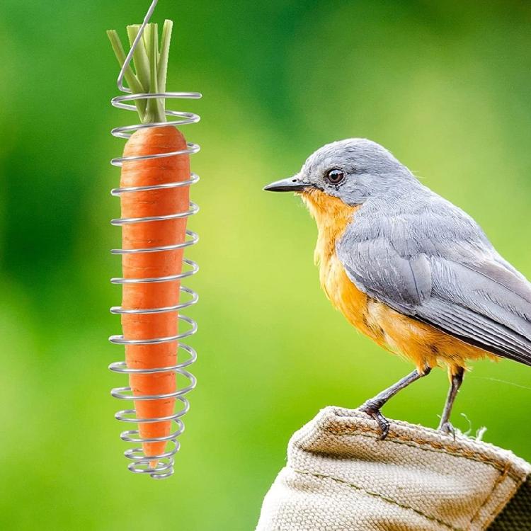 Stainless Steel Bird Cage Accessories Parrots Feeding Set Foraging Cup Feeders Fruit Fork Durability