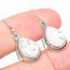 Natural Dendrite Opal Gemstone 925 Solid Sterling Silver Gift Earring 1.25" O4W64