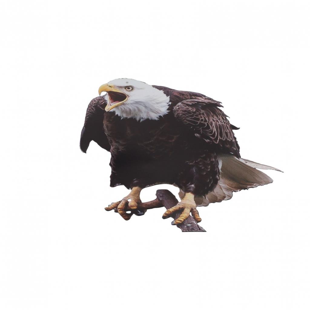 Weatherproof Bird Control Solution Fake Owls To Keep Your Property Bird