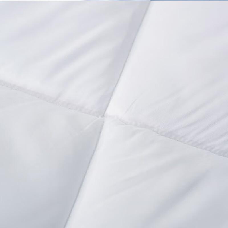 Mengjie Warm Australian Wool Winter Quilt