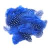 Yousheng 50Pcs Guineahen Feathers Natural Chicken Tail Feathers Bright Colors 4.5-10cm Feathers for Crafts DIY Earrings Dream Catcher Wedding Easter