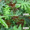 12PCS Plant Stem Support Clips, Flower Stem Gathering Frame, Support Fixer - Anti-Toppling, Hydroponic Branch Fixing Pot Rack