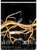 Elegant Modern French Crystal Chandelier for Living and Dining Rooms