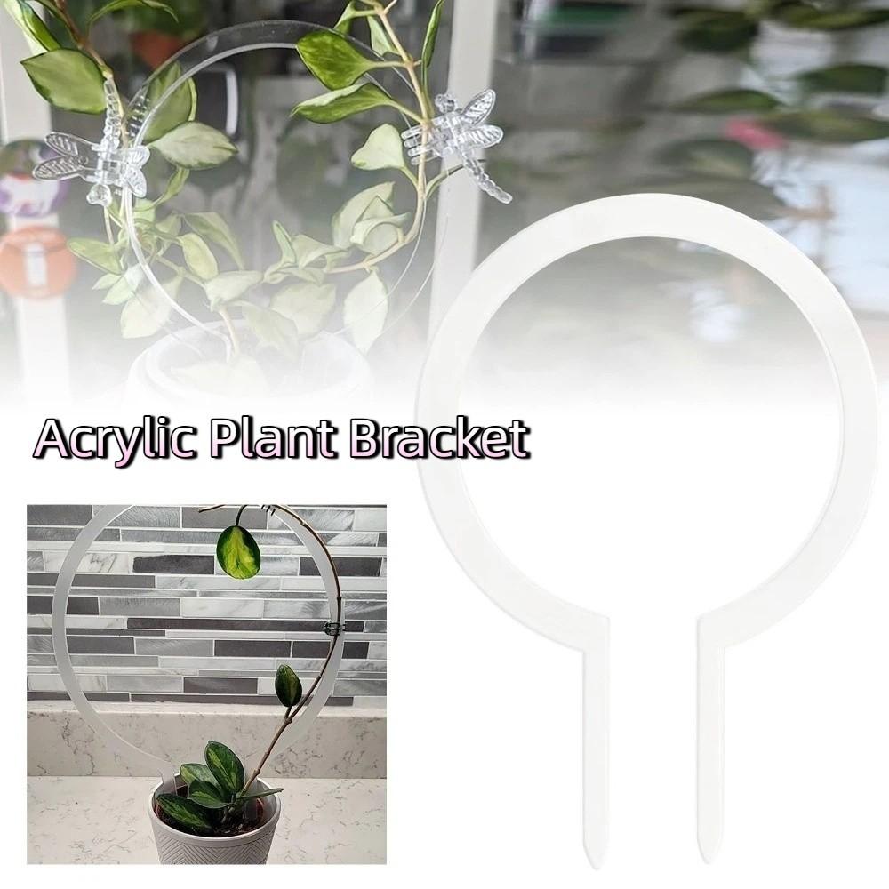Weather-resistant Plant Trellis Transparent Climbing Plant Support  Climbing Vines
