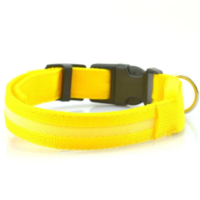 Collare LED per Cani Anti-smarrimento/evita Incidente d'Auto Collare per Cani Ricarica USB Forniture Guinzaglio Collare per Cani Articoli per Animali Domestici