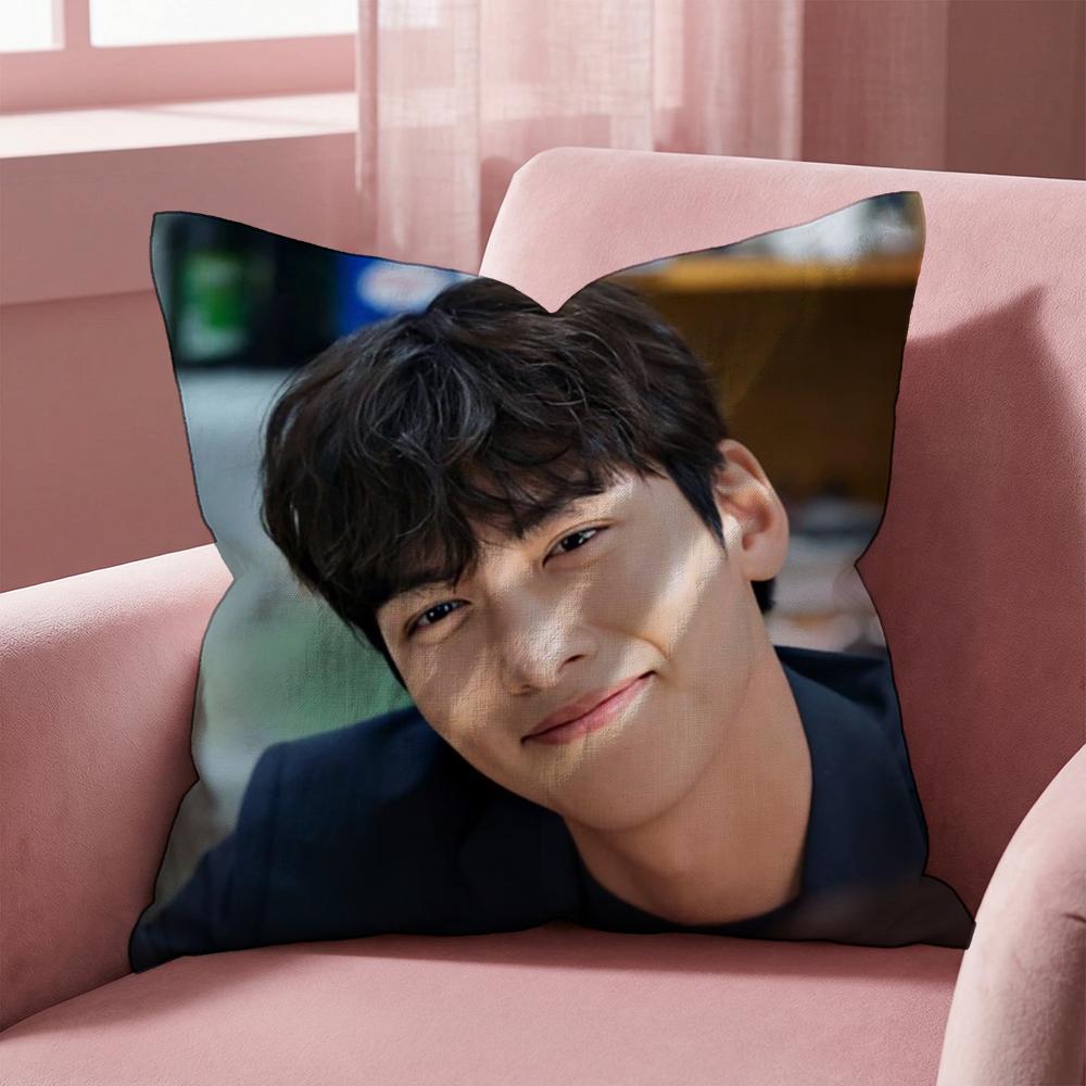 J-Ji C-Chang Wook Cushion Cover Multi-Scene Pillow Cover for Home & Car - Reversible, Soft & Durable for Daily Use