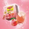 [Lipton] Kombucha 50EA 3Types