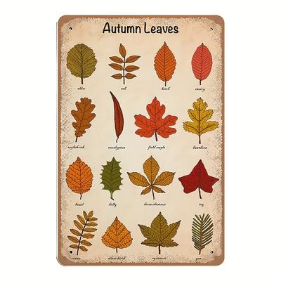Placca Metallica Vintage Foglie d'Autunno 55x8 Tabella di Identificazione Foglie Poster Conoscenza Materiali per Artigianato