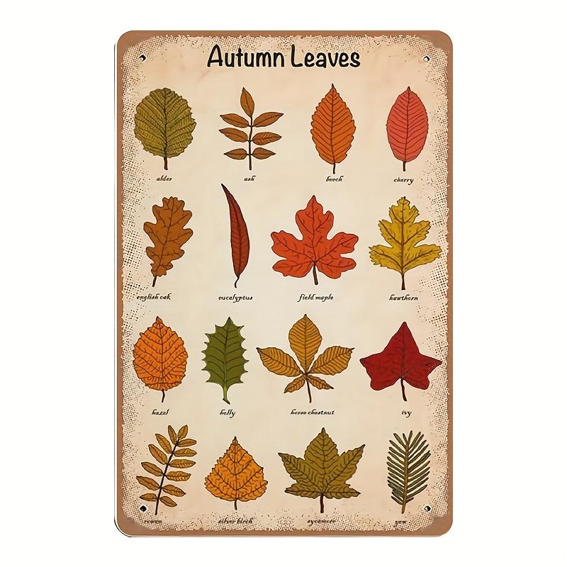 

Винтажная металлическая жестяная табличка Осенние листья 55x8 Таблица идентификации листьев Постер со знаниями Товары для рукоделия 20x30cm（7.8x11.8inch）