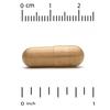 Silymarin Complex, Dandelion, Artichoke, Curcumin C3 Complex, Milk Thistle Extract with Ginger and Bioperine, 120 Veggie Caps
