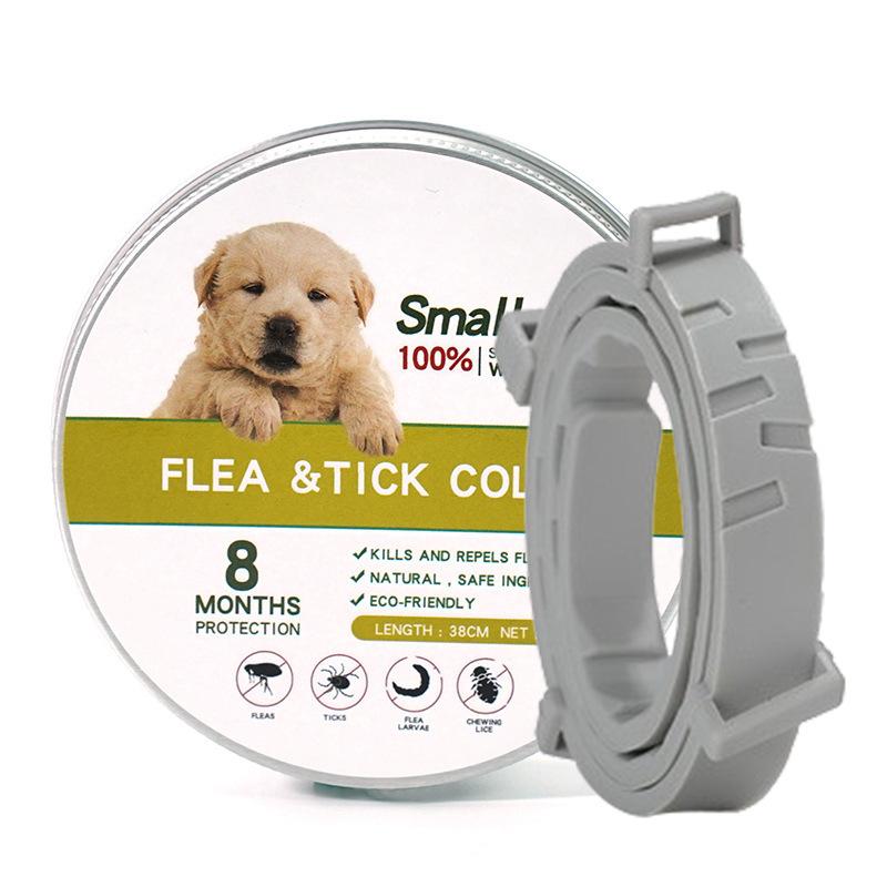 8 Months , For Small And Medium Dogs