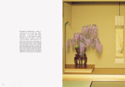 Bonsai Bonsai New Edition