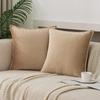 Throw Pillow Covers 16x16 Set Of 2 Velvet Decor Decorative Couch Cushion Pillowcases With Fringe Home Bed Decoration For Sofa Bedroom