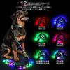 Sazuik Dog Leash with 12 Lighting USB High Safety Suitable for and Large Dogs Light, Modes, Multi-Color Lighting, 1.5m, Rechargeable, Visibility,