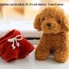 Curly Teddy Dog Plush Doll - Children's Birthday Gift Ragdoll Toy