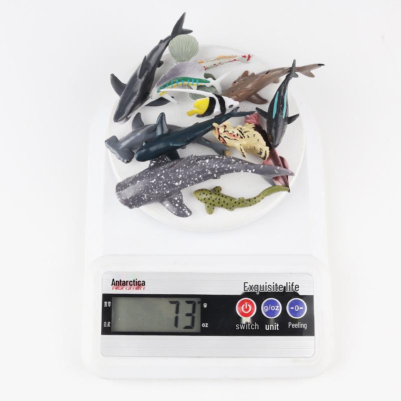 Children's Early Education Ocean Fish Model Toy: Megalodon, Whale Shark, Tuna