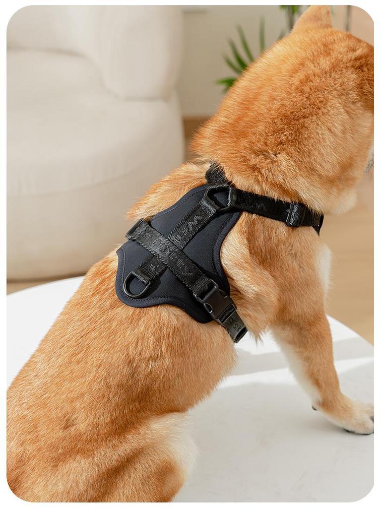 Adjustable Vest-Style Anti-Pull Dog Harness & Leash for Medium To Large Dogs