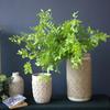 Artificial Plant Locust Tree Leaf Branch 100cm/39.3in Fresh Pastoral Style Home Decoration Living Room Table Decoration