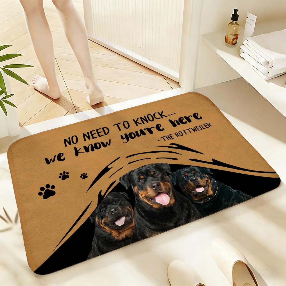 Soft Absorbent Non-Slip Rug No Need to Knock Floor Mat Home Decor Doormat Bedroom Floor Mat Shower Carpet